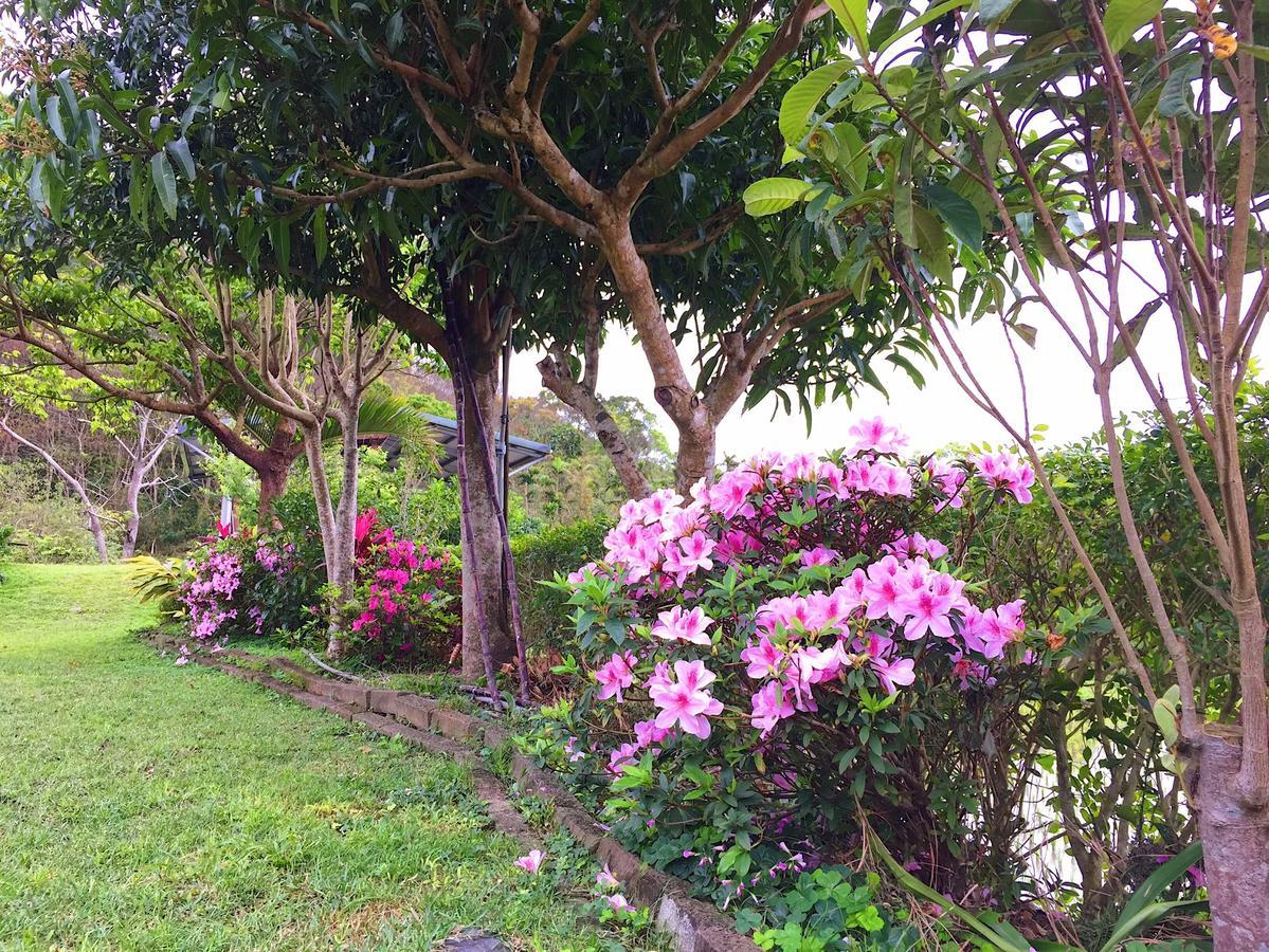 Jiu An Qing Jing Homestay Fuli Extérieur photo